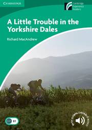 A Little Trouble in the Yorkshire Dales - Cover