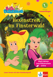 Hexenstreit im Finsterwald - Cover