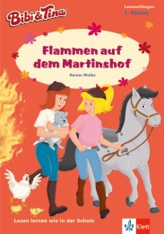 Bibi & Tina - Flammen auf dem Martinshof - Cover