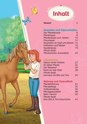 Bibi & Tina: Das große Pferde-Quizbuch mit Bibi und Tina - Abbildung 1