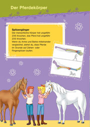 Bibi & Tina: Das große Pferde-Quizbuch mit Bibi und Tina - Abbildung 2