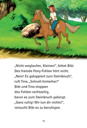 Bibi & Tina: Fohlen vermisst! - Abbildung 6