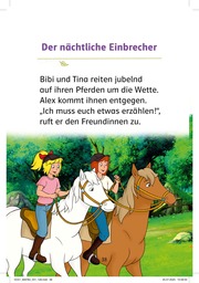 Bibi & Tina: Große Pferdeliebe - Abbildung 1
