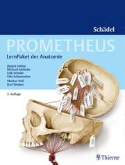 Prometheus: LernPaket der Anatomie - Schädel