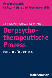 Der psychotherapeutische Prozess - Cover