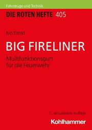BIG FIRELINER - Cover