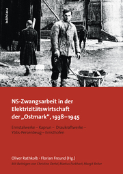NS-Zwangsarbeit in der Elektrizitätswirtschaft der 'Ostmark', 1938-1945