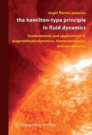 The Hamilton-Type Principle in Fluid Dynamics - Cover