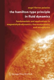 The Hamilton-Type Principle in Fluid Dynamics - Abbildung 1