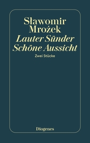 Lauter Sünder / Schöne Aussicht - Cover