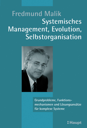 Systemisches Management, Evolution, Selbstorganisation
