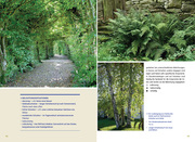 Mein Gartenbaum - klimarobust und klimaschützend - Abbildung 2