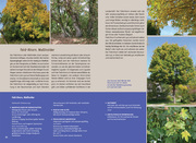 Mein Gartenbaum - klimarobust und klimaschützend - Abbildung 3