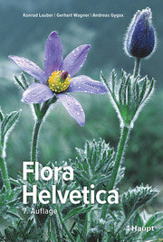 Flora Helvetica - Illustrierte Flora der Schweiz - Cover