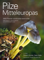 Pilze Mitteleuropas - Cover