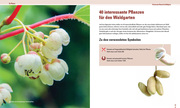 Praxisbuch Waldgarten - Abbildung 3