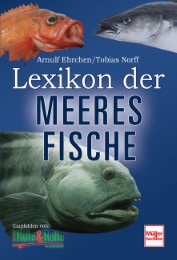 Lexikon der Meeresfische