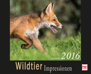 Wildtier-Impressionen 2016