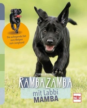 Rambazamba mit Labbi Mamba