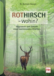 Rothirsch - wohin?