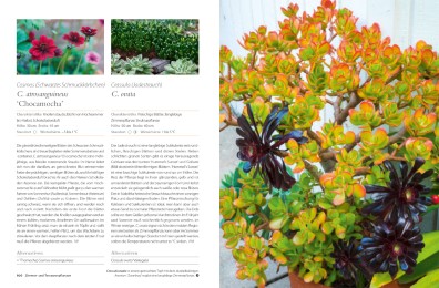 1001 Pflanzenträume für Haus und Garten - Abbildung 3