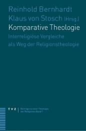 Komparative Theologie - Cover