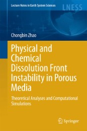 Physical and Chemical Dissolution Front Instability in Porous Media - Abbildung 1