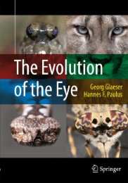 The Evolution of the Eye - Abbildung 1