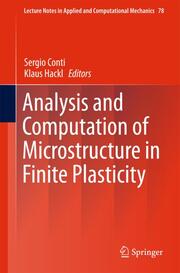 Analysis and Computation of Microstructure in Finite Plasticity