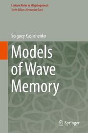Models of Wave Memory