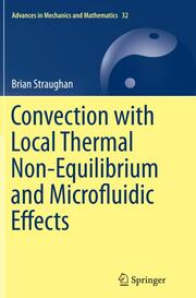 Convection with Local Thermal Non-Equilibrium and Microfluidic Effects