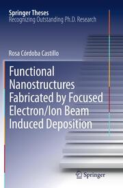 Functional Nanostructures Fabricated by Focused Electron/Ion Beam Induced Deposition