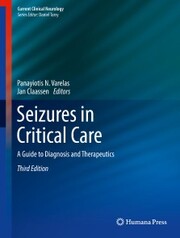 Seizures in Critical Care - Cover