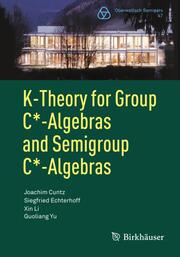 K-Theory for Group C
