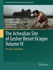 The Acheulian Site of Gesher Benot Ya'aqov Volume IV