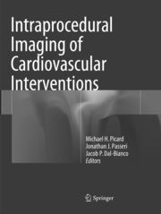 Intraprocedural Imaging of Cardiovascular Interventions - Cover