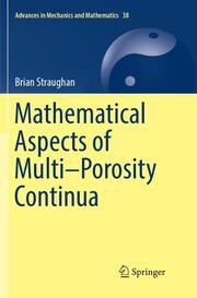 Mathematical Aspects of Multi-Porosity Continua