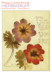 Herbarium Postkartenset