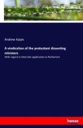 A vindication of the protestant dissenting ministers
