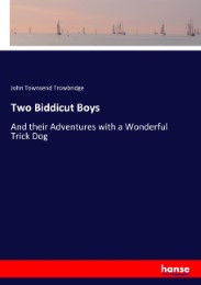 Two Biddicut Boys - Cover