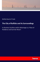 The City of Buffalo and its Surroundings