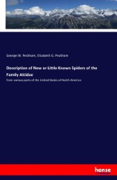 Description of New or Little Known Spiders of the Family Attidae
