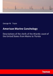 American Marine Conchology