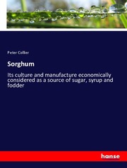 Sorghum - Cover