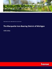 The Marquette Iron-Bearing District of Michigan