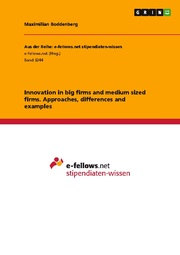 Innovation in big firms and medium sized firms. Approaches, differences and examples