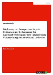 Förderung von Entrepreneurship als Instrument zur Reduzierung der Jugendarbeitslosigkeit? Eine Vergleichende Untersuchung zu Deutschland und Polen