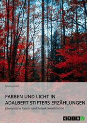 Farben und Licht in Adalbert Stifters Erzählungen. Literarische Raum- und Subjektkonstitution