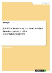 Fair Value Bewertung von immateriellen Vermögenswerten beim Unternehmenserwerb