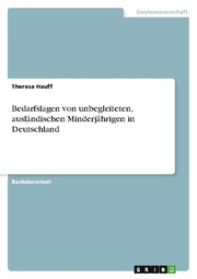 Bedarfslagen von unbegleiteten, ausländischen Minderjährigen in Deutschland - Cover
